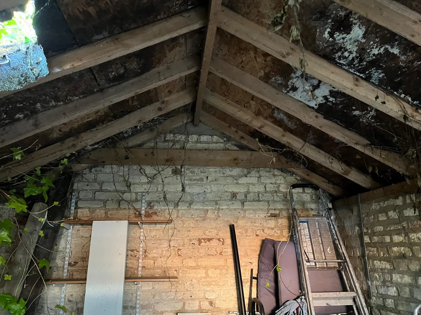 Frome Garage Conversion in Frome by Aspect Builds — photo 5 of 7